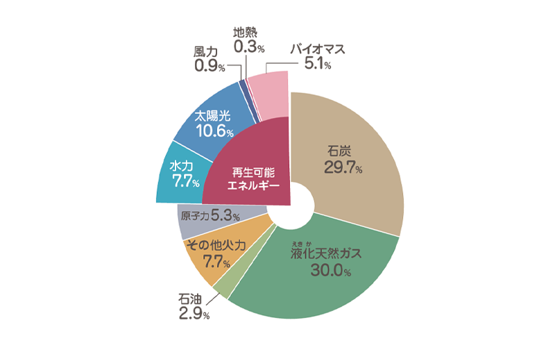 いちごECOエナジー円グラフ2024.png